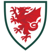 Wales trøye